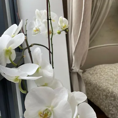 Bed & Breakfast L'atelier Du Charmois *