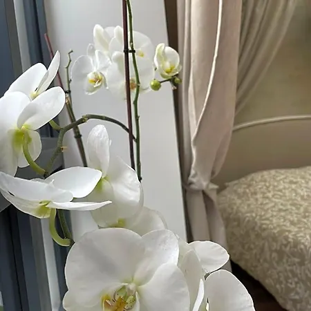 Bed & Breakfast L'atelier Du Charmois *