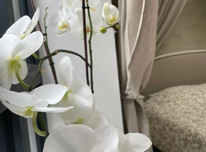 Nocleg ze śniadaniem L'atelier Du Charmois *