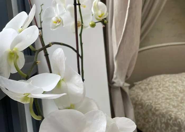 L'atelier Du Charmois Nocleg ze śniadaniem *